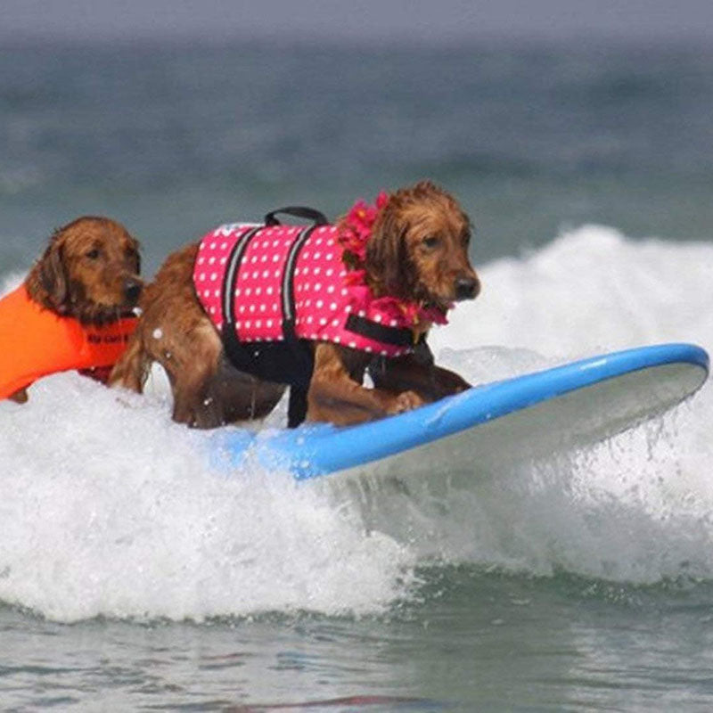 Dog Life Vest