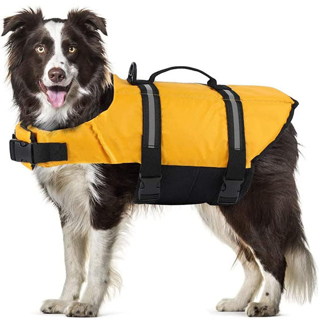 Dog Life Vest