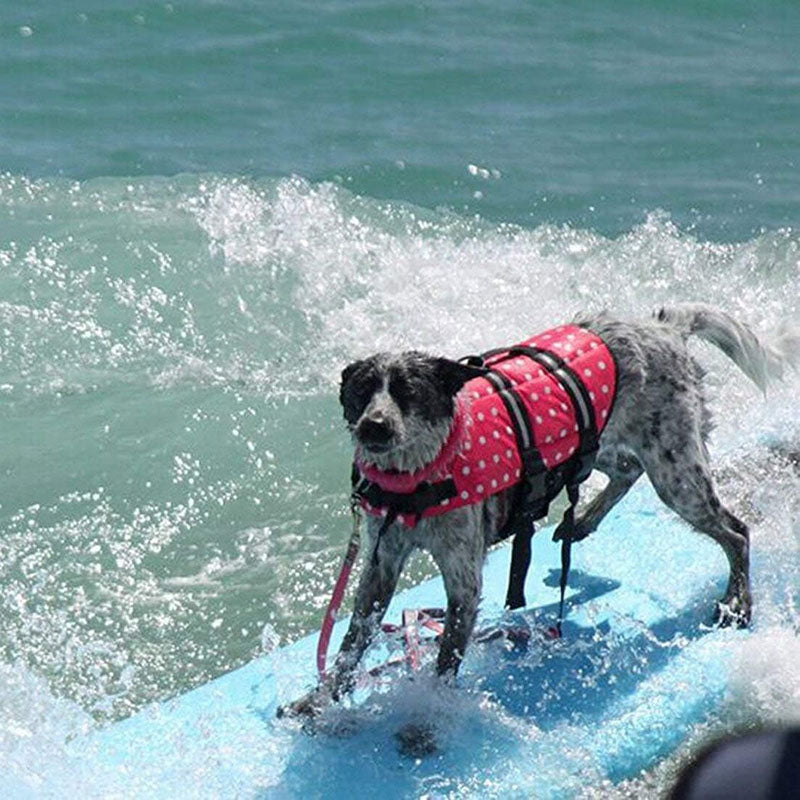 Dog Life Vest