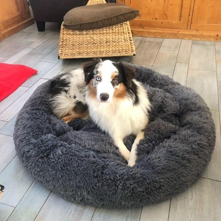 Calming Dog Bed with Removable Cover