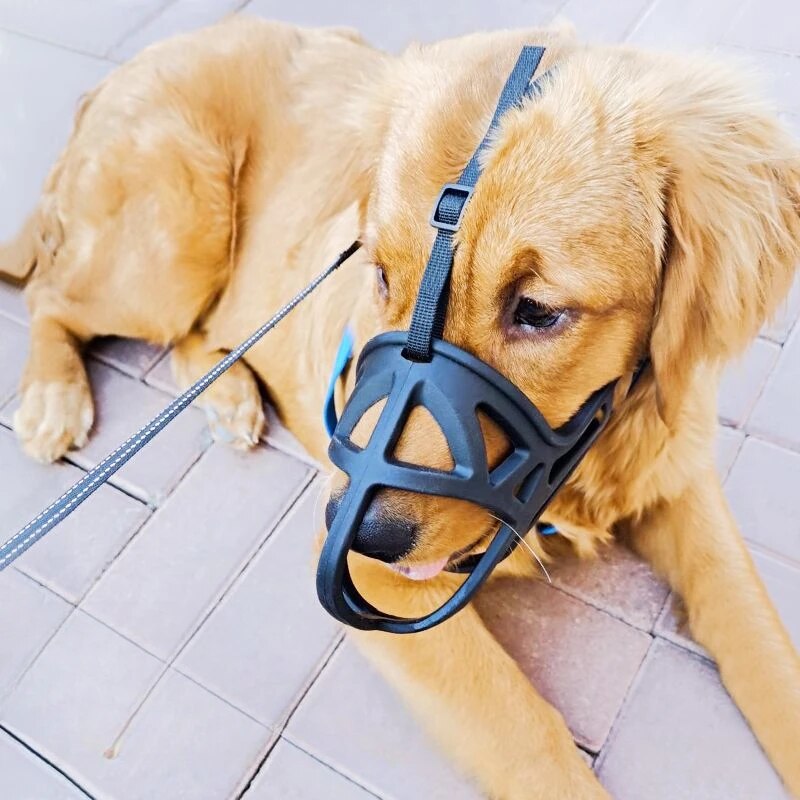 Dog Muzzles