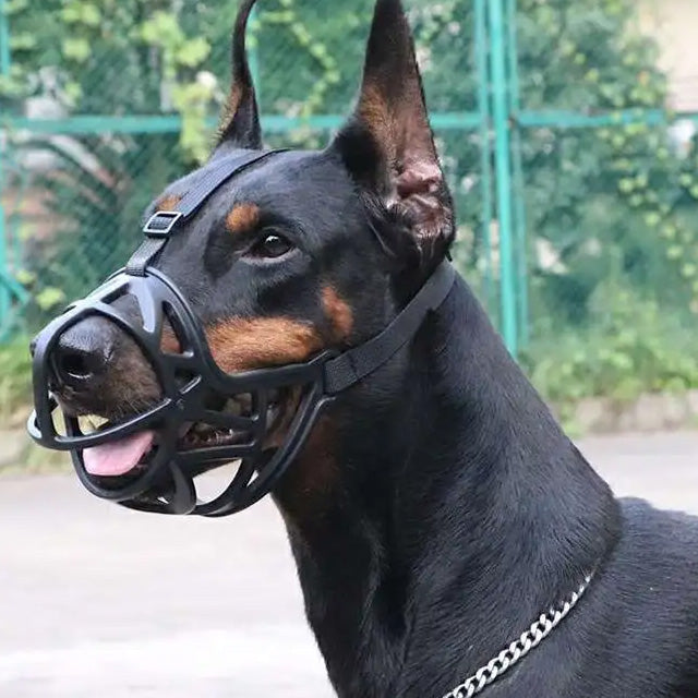 Dog Muzzles