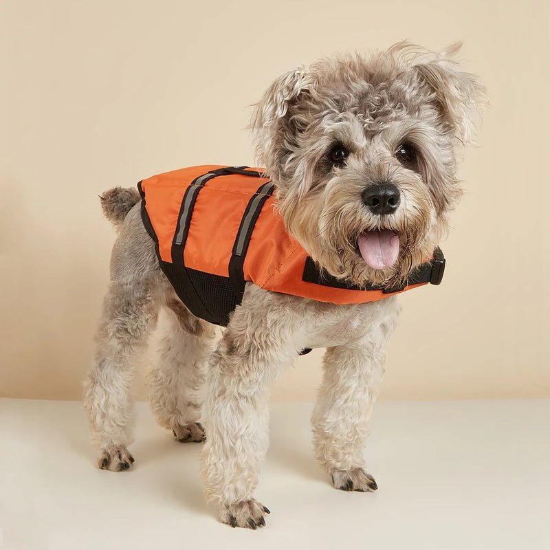 Dog Life Vest