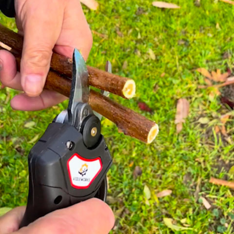 Professional Cordless Electric Pruner