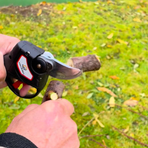 Professional Cordless Electric Pruner