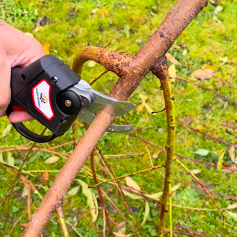 Professional Cordless Electric Pruner