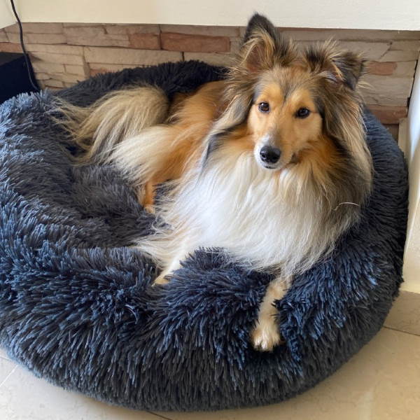 Calming Dog Bed with Removable Cover