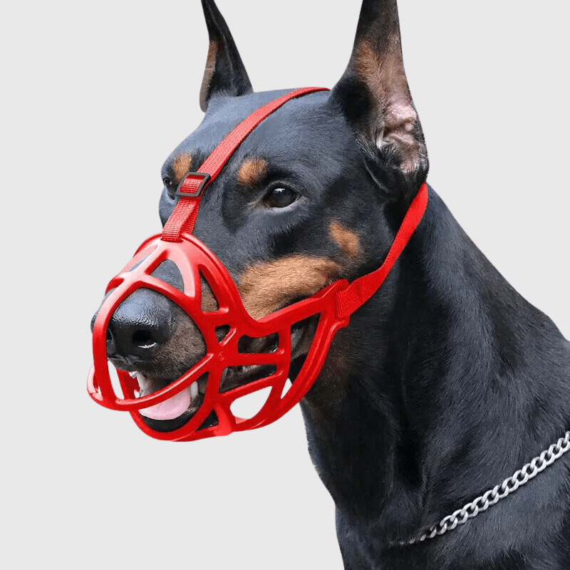 Dog Muzzles